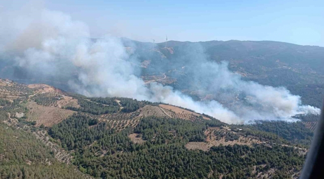 Hatay'da orman yangını