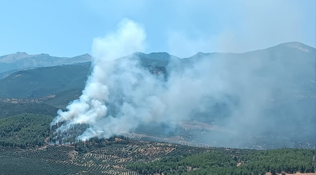 Hatay'da orman yangını