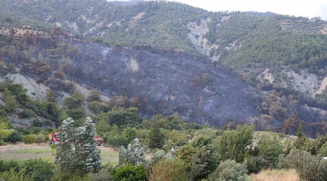 Havadan ve karadan müdahaleyle kontrol altına alınan yangında yaşananları muhtar anlattı