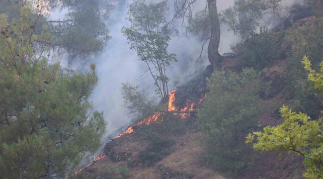 Kahramanmaraş'ta orman yangınına müdahale sürüyor