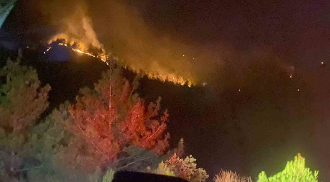 Kahramanmaraş'taki orman yangını 18 saat sonra kontrol altına alındı