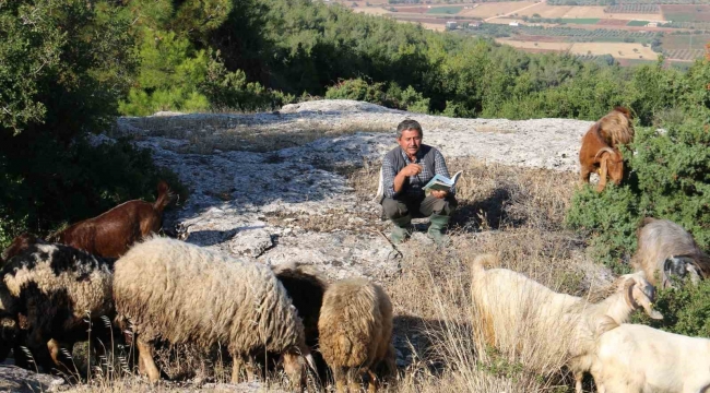 Kalemini ve defterini yanından ayırmayan yarım asırlık çoban Vehbi amca, keçilerinden aldığı ilhamla şiirlerini yazıyor