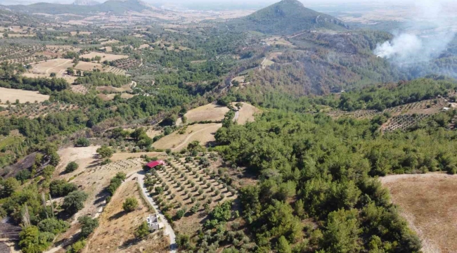 Kozan'daki orman yangını kontrol altına alındı