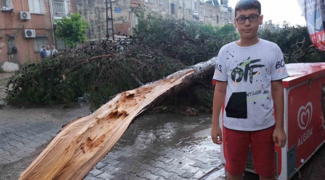 Küçük çocuk fırtınada devrilen ağacın altında kalmaktan son anda kurtuldu