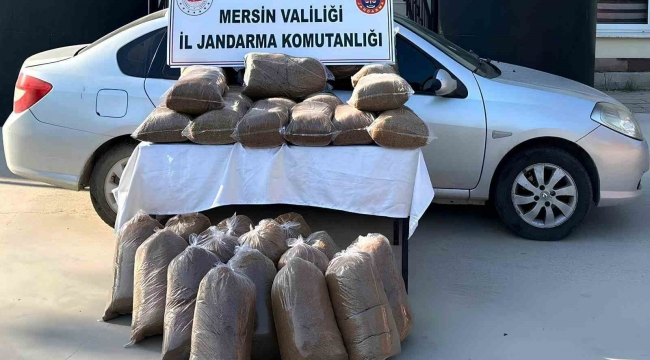 Mersin'de 310 kilo kaçak tütün ele geçirildi