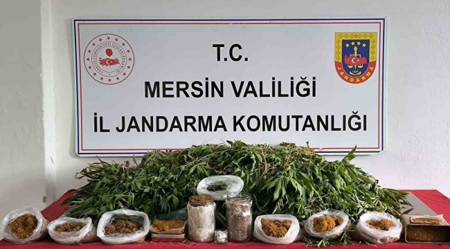 Mersin'de uyuşturucu operasyonu: 1 gözaltı