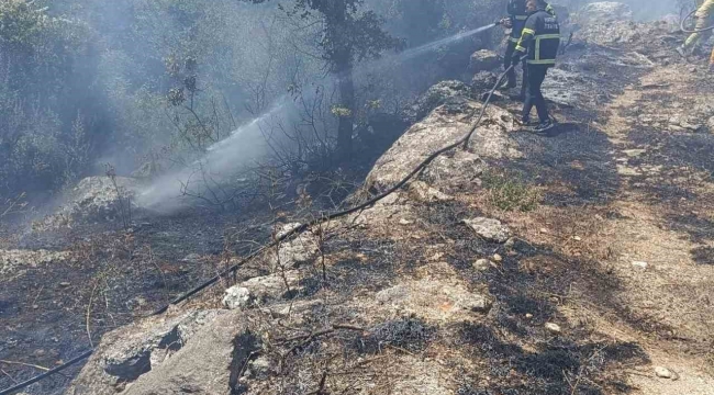 Yayladağı'nda orman yangını