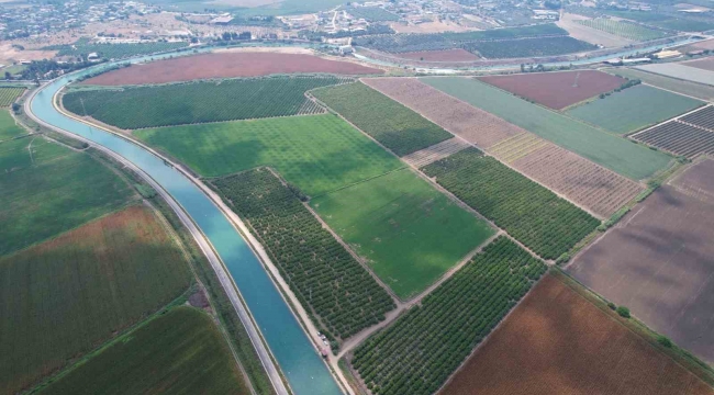 Adana çiftçisine 'su yok, ekim yapmayın' uyarısı