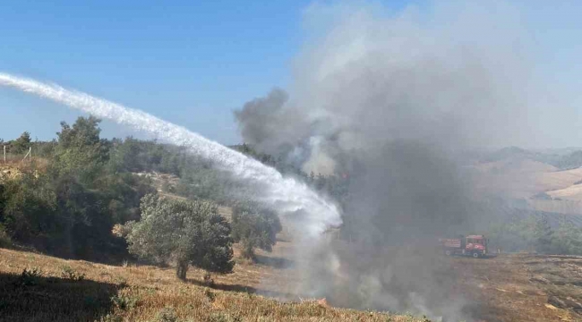 Adana'da anız yangını, orman yangınına dönüştü