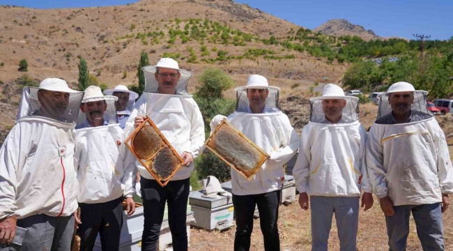 Adana'da bal hasadı başladı