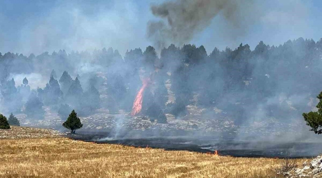 Anız yangını ormana sıçradı, ekipler müdahale ediyor