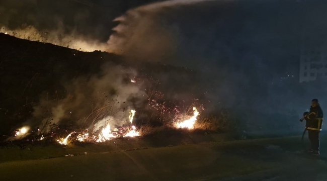 Antakya'da çıkan tarla yangını itfaiye tarafından söndürüldü