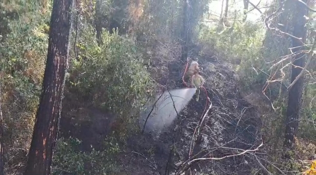 Hatay'da çıkan orman yangını kontrol altına alındı