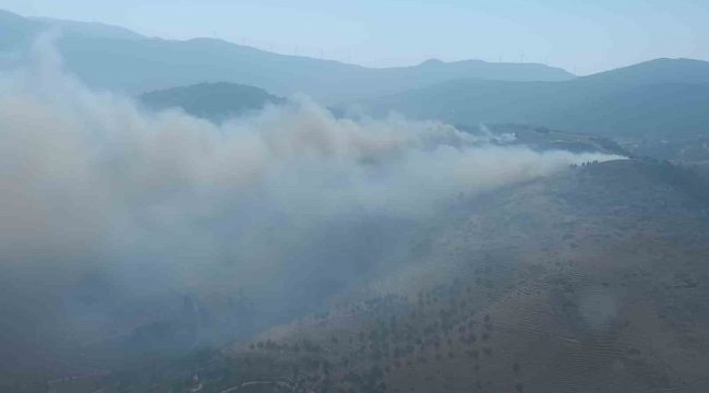 Hatay'da orman yangını