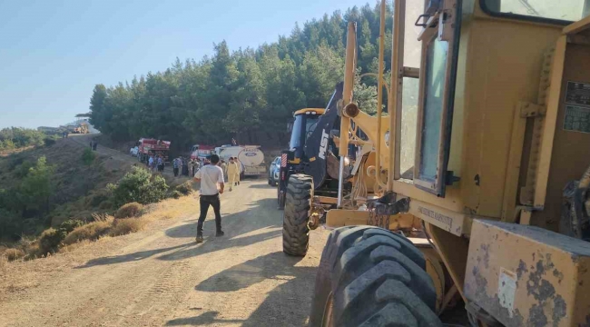 Hatay'da orman yangını