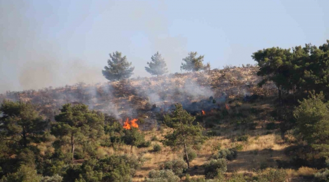 Hatay'daki orman yangınına havadan helikopterler ve uçakla müdahale ediliyor