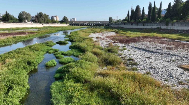 Hızlı tren köprüsü inşaatı nedeniyle DSİ, Seyhan Nehri yatağına su veremiyor