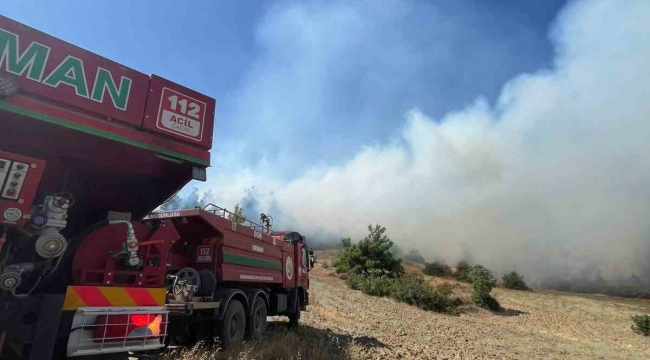 Kahramanmaraş'ta orman yangını