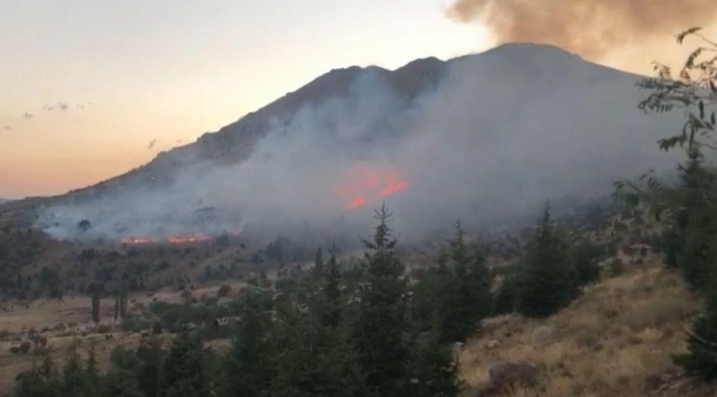 Kahramanmaraş'taki orman yangını kontrol altına alındı