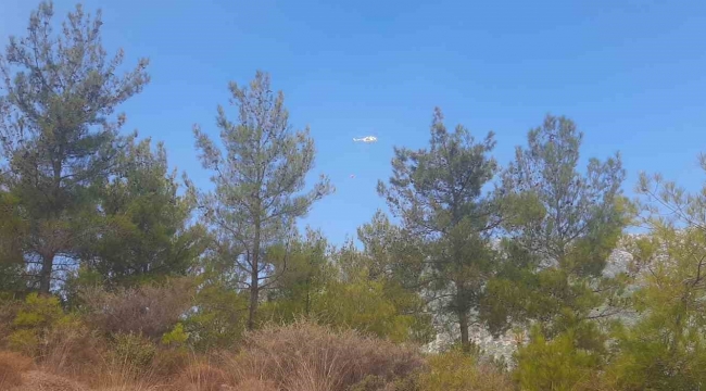 Mersin Bozyazı'da orman yangınına ekipler havadan ve karadan müdahale ediyor