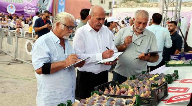 Mersin'de 'Bağlarbaşı İncir Festivali' düzenlendi