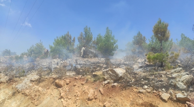 Mersin'de 4 ayrı noktada çıkan orman yangınları söndürüldü