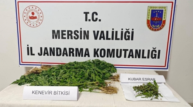 Mersin'de uyuşturucu operasyonu: 6 gözaltı