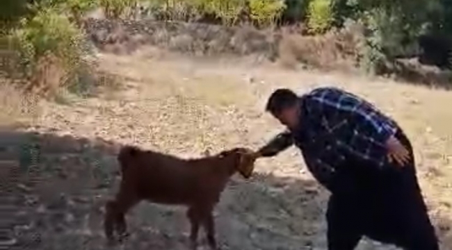 Oğlak ile oyun oynayarak keyifli anlar yaşadı