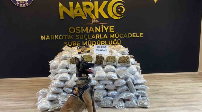 Osmaniye'de durdurulan tırda 166 kilo 700 gram skunk ele geçirildi