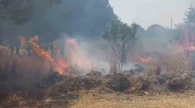 Otluk alanda çıkan yangın ormana ulaşmadan söndürüldü