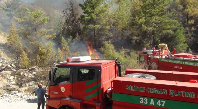 Silifke'de 250 dönüm ormanlık alan yandı