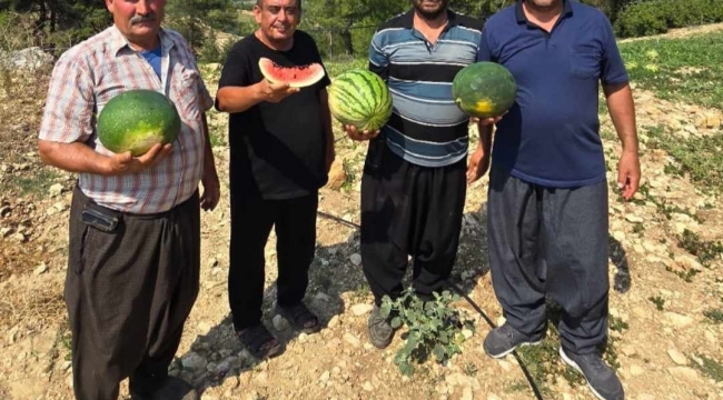 Tarsus'ta yerli tohuma ve üretime dönüş için çağrı