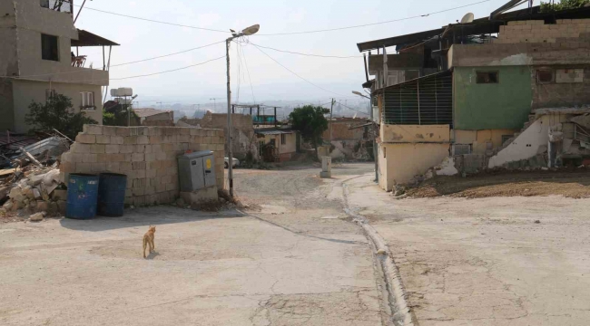 Yaşlı kadının etrafını saran sokak köpeklerinden tedirgin olduğu anlar kamerada