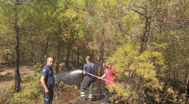 Yayladağı'nda örtü yangını