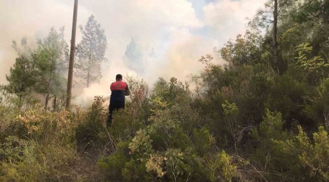 Osmaniye'de ormanlık alanda çıkan yangın büyümeden söndürüldü