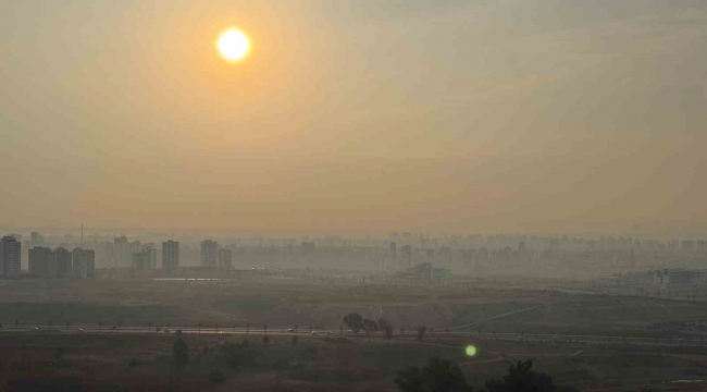 Adana'da sis etkili oldu