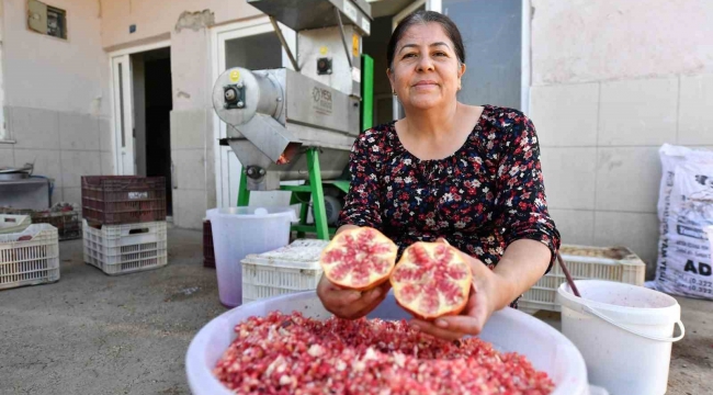 Büyükşehir Belediyesinden üreticiye 'Nar Taneleme Makinesi' desteği