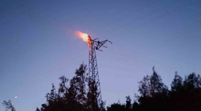 Elektrik direğinde akıma kapılan şahıs yanarak öldü