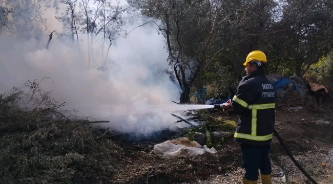 Erzin'de zeytin bahçesinde çıkan yangın söndürüldü