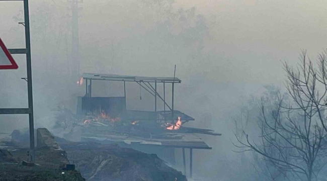 Hatay'da orman yangını evlere sıçradı