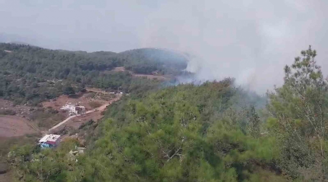 Hatay'da orman yangını