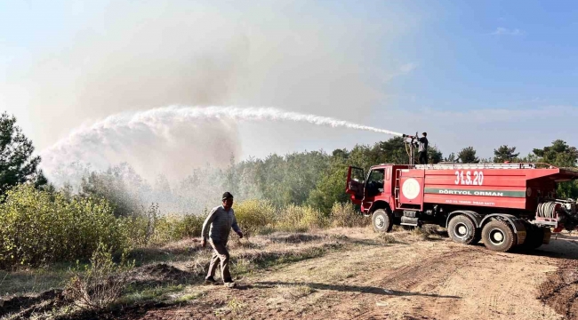 Hatay'da orman yangını rüzgarın etkisiyle büyümeye devam ediyor