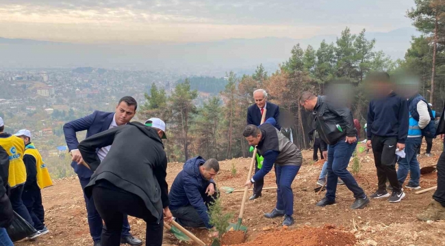 Kahramanmaraş'ta denetimli hükümlüler fidan dikti