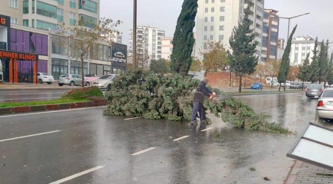 Kahramanmaraş'taki fırtına saatte 95 kilometre hıza ulaştı