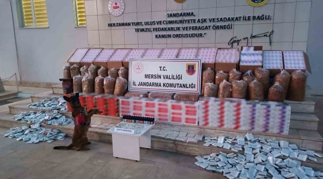 Mersin'de kaçakçılıkla mücadele, 208 bin adet makaron ele geçirildi