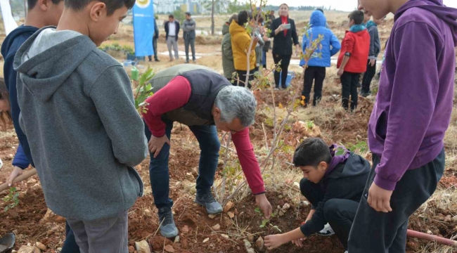 Öğretmenler Günü anısına 300 fidan toprakla buluşturuldu