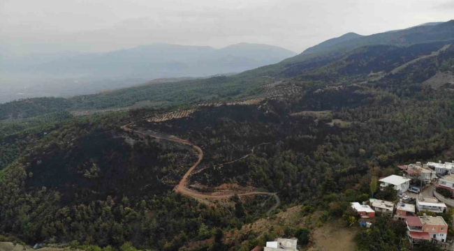 Orman yangınında küle dönen alan drone ile görüntülendi