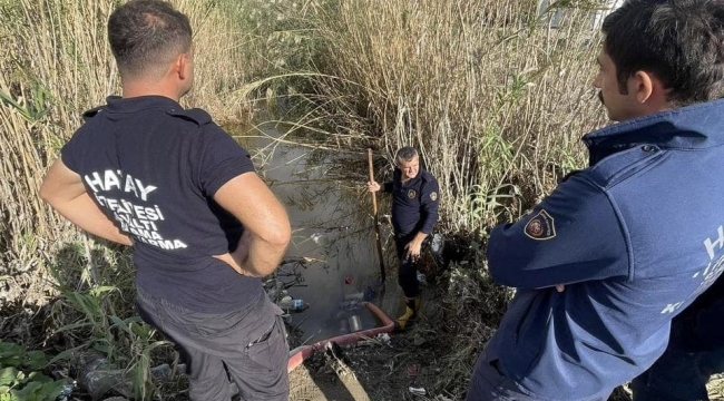 Samandağ'da yağmur suyu giderinde mahsur kalan yavru köpekler kurtarıldı