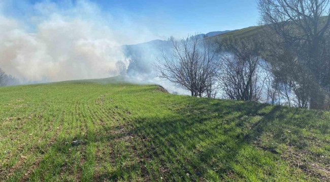 Adana'da orman yangını