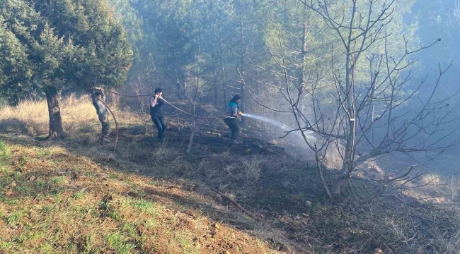 Adana'da orman yangını kontrol altına alındı